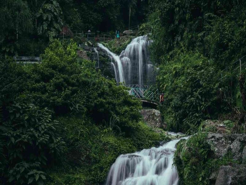 Darjeeling Tour